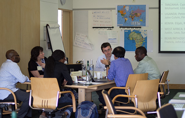 Cassava Workshop