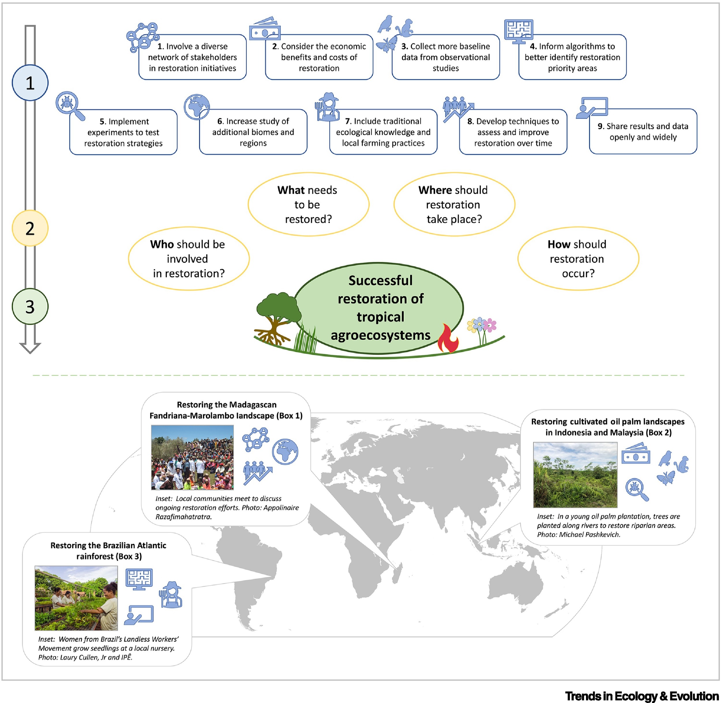 Diagram illustrating the nine actions to improve understanding of the ‘who’, ‘what’, ‘where’, and ‘how’ to restore tropical agroecosystems.