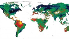 121003 climate change credit Andrew Friend 224x126[1]