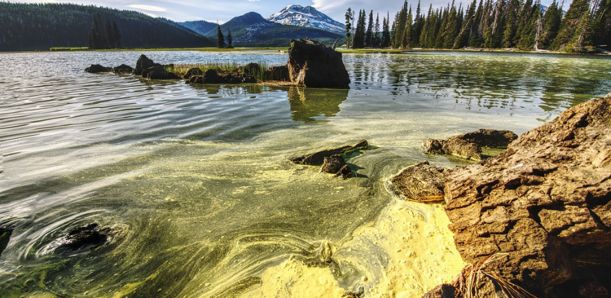 an algal bloom at Sparks lake, Oregon. Picture: Pixabay