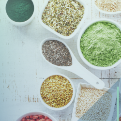 Alternative Protein Research in Cambridge Workshop Information