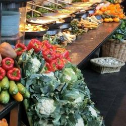 A canteen offering delicious plant-based food Image by Mike Ljung from Pixabay