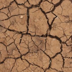 Parched Earth Image by Engin Akyurt from Pixabay 