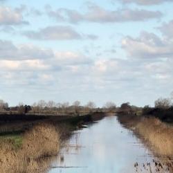 Fen River Picture by Jacqueline Garget