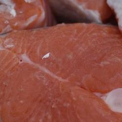 Perspective: Farming Fish Oils