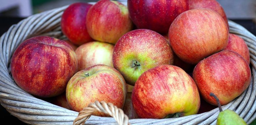 A basket of rosy apples