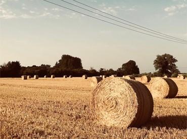Image credit: Inanna Hamati-Ataya Cambridge Global Food Security to lead a new project funded by Isaac Newton Trust