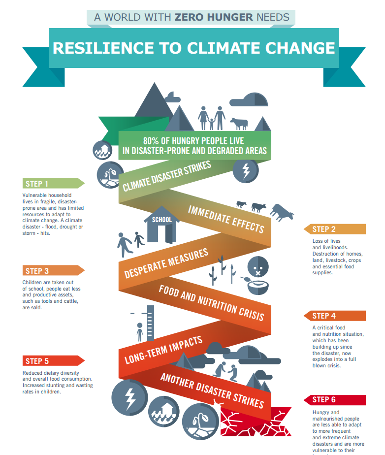 www.wfp.org World Food Programme at the Paris Climate Conference
