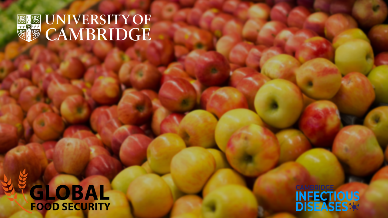 Best Before: balancing food safety and food waste Apples in a supermarket