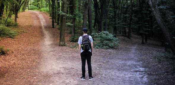 Man standing at a fork in the path through a forest