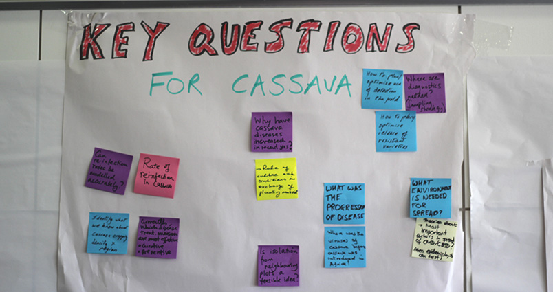 Cassava Workshop
