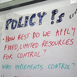 Policy Questions