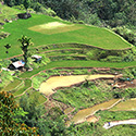 Credit: Julian Hibberd (Batad rice terraces in the N of the Philippines)