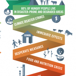 World Food Programme at the Paris Climate Conference