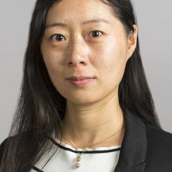 Dr Lili  Jia