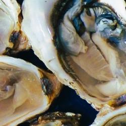 Oysters image by Jean Louis Tosque (Pixabay)
