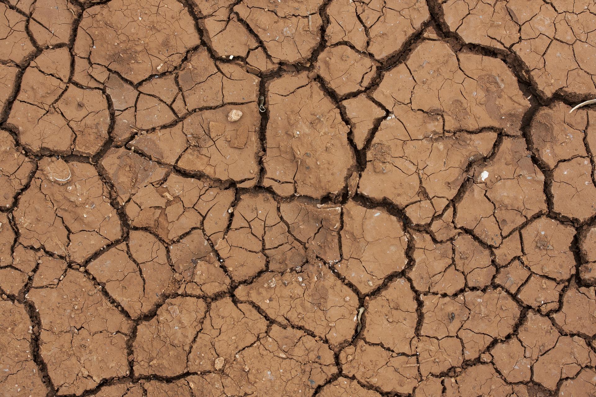 Parched Earth Image by Engin Akyurt from Pixabay 